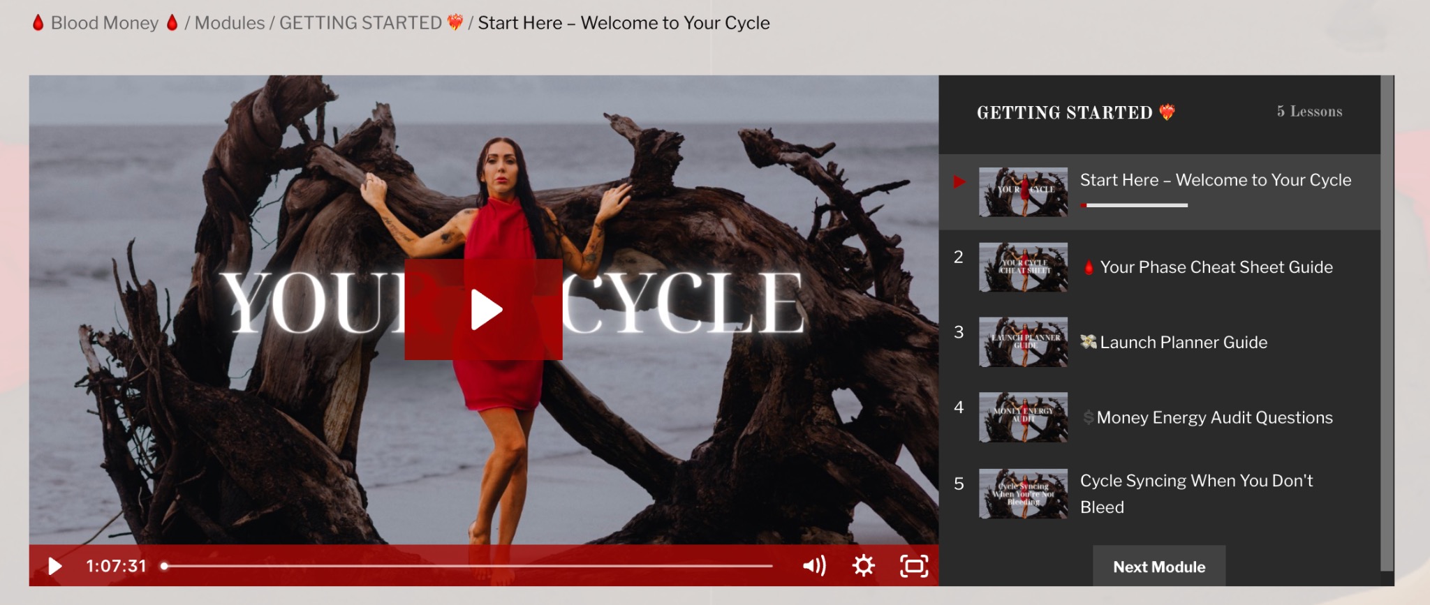 Blood Money Getting Started course portal with five lessons
