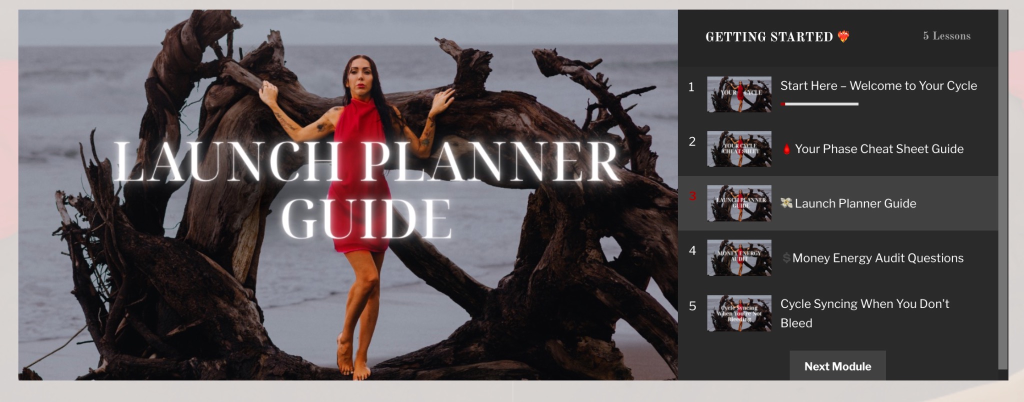 Blood Money Launch Planner Guide lesson inside the course portal